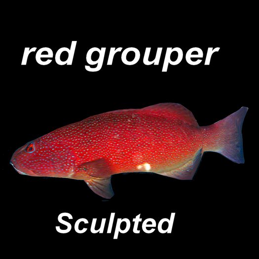 Second Life Marketplace - red grouper